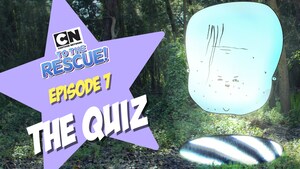 The Quiz