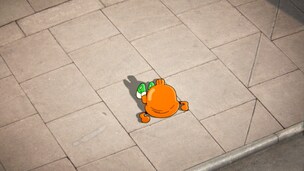 O verdadeiro amor do Darwin