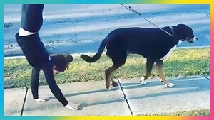 Skab din verden | 60"